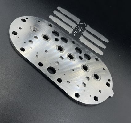 15P 코플랜드 냉장 압축 밸브 판 조립 & 냉장고 냉장고 밸브 캔